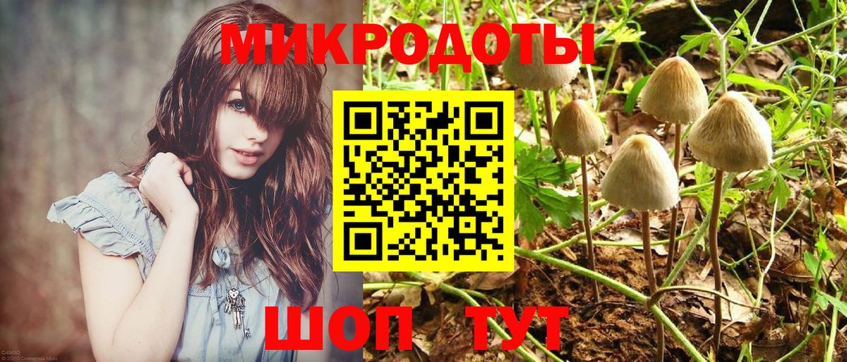 Псилоцибиновые грибы Cubensis  Псилоцибиновые грибы Psilocybine cubensis  Вход с VPN  Лениногорск 